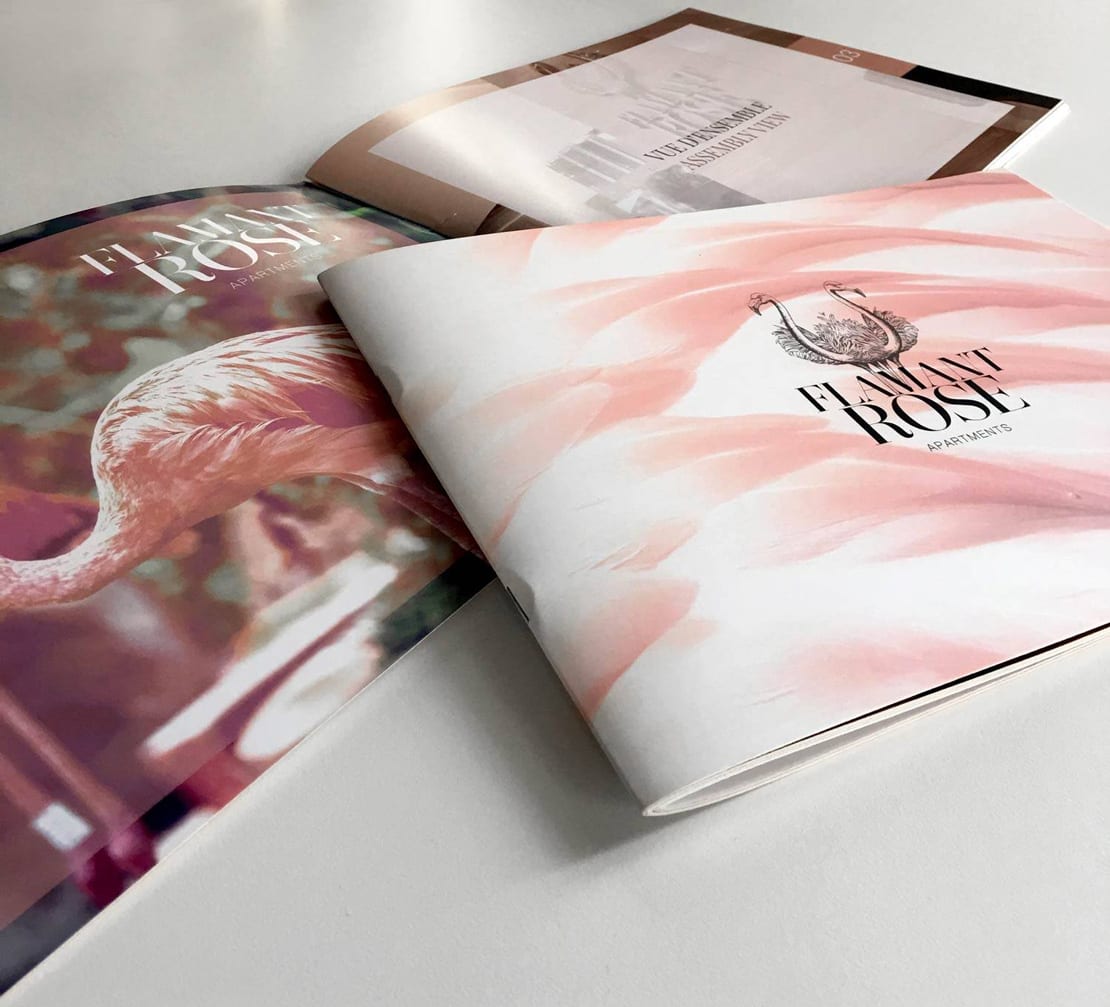 Flamant rose, diseño de catalogo