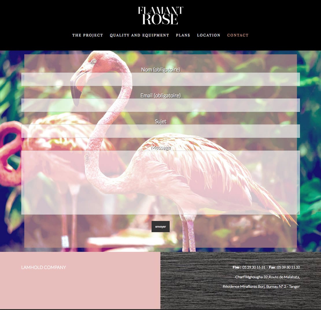 Flamant rose, diseño para web responsive