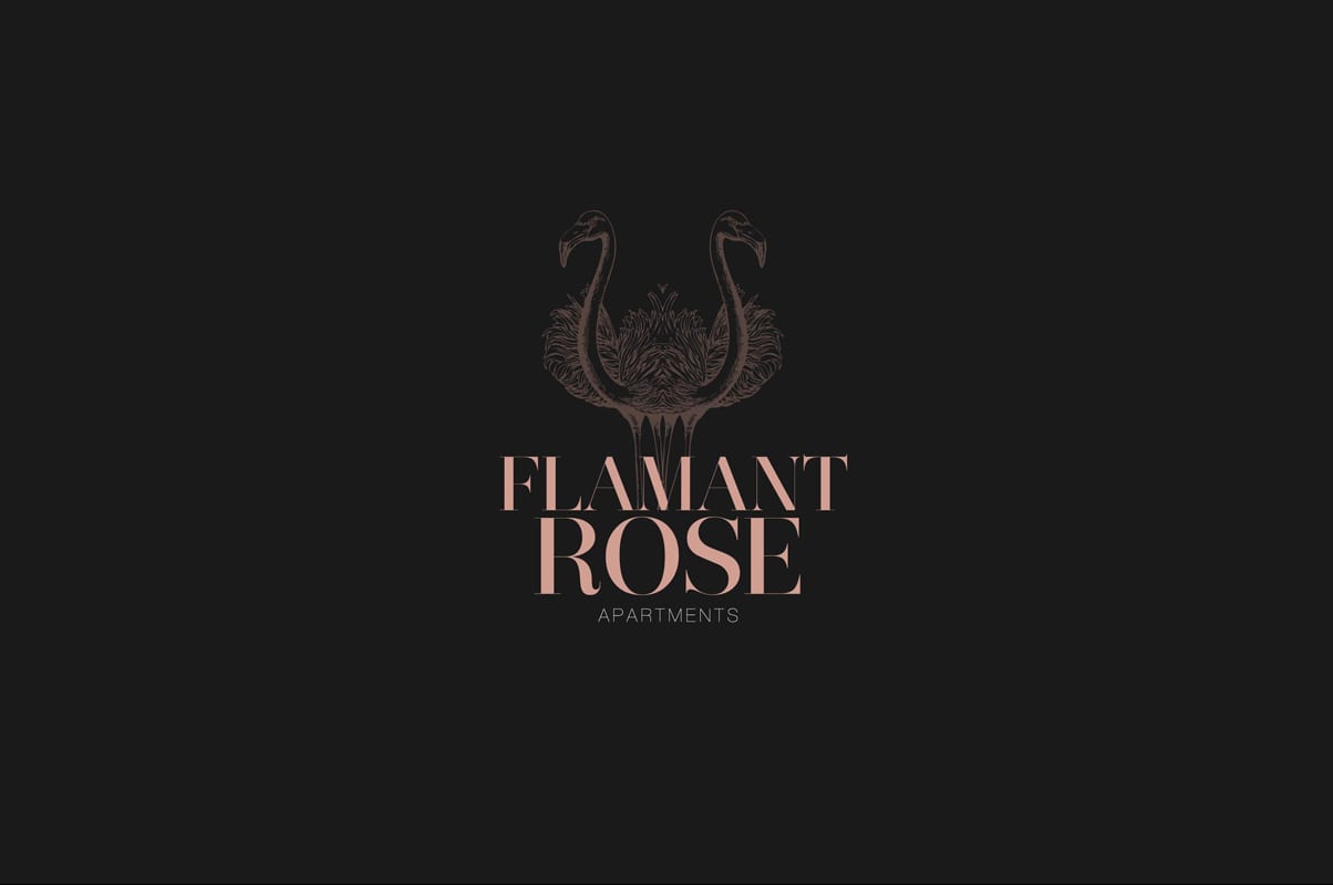 Flamant rose, diseño de logotipo para empresa en Tanger