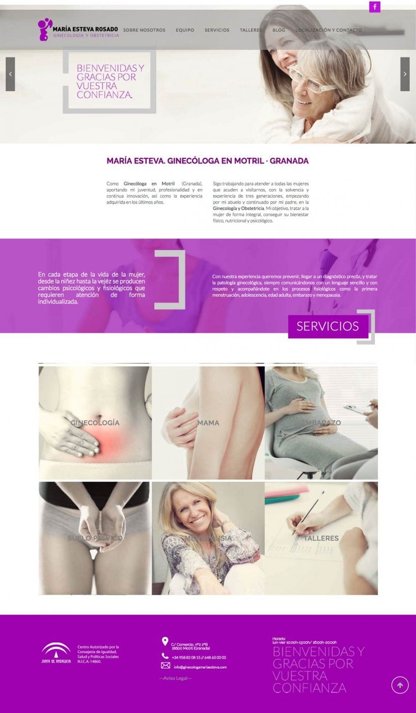 diseño de pagina web para clinica de ginecologia