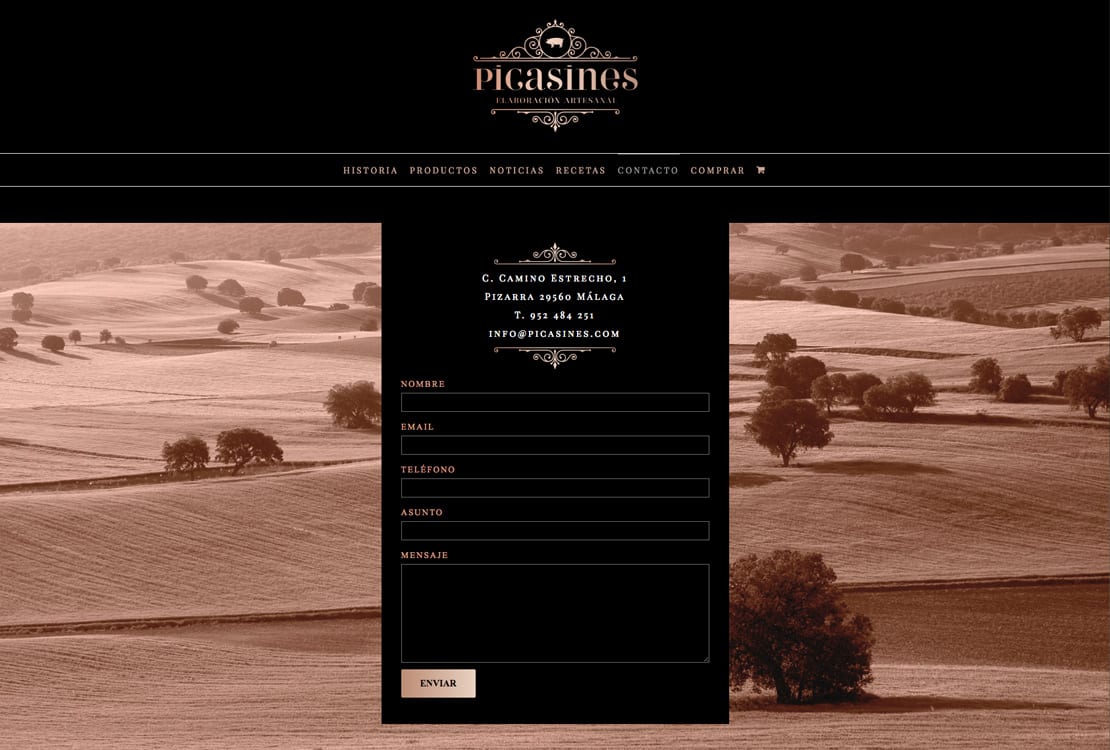Picasines, diseño web, responsive
